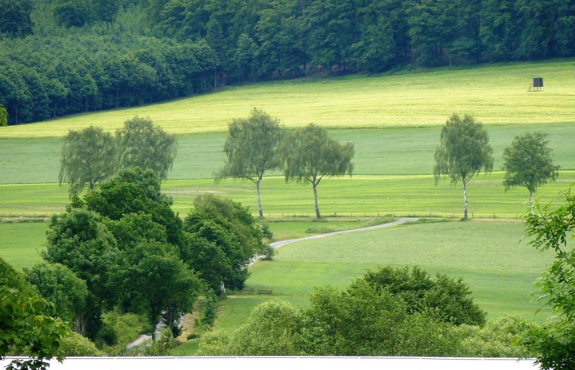 Hennetaler Hof Hotel Erflinghausen Екстериор снимка